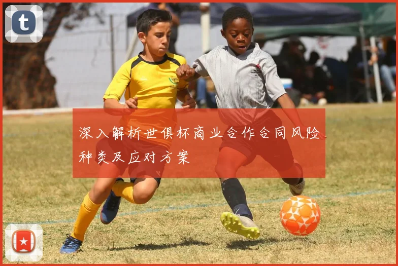 深入解析世俱杯商业合作合同风险种类及应对方案