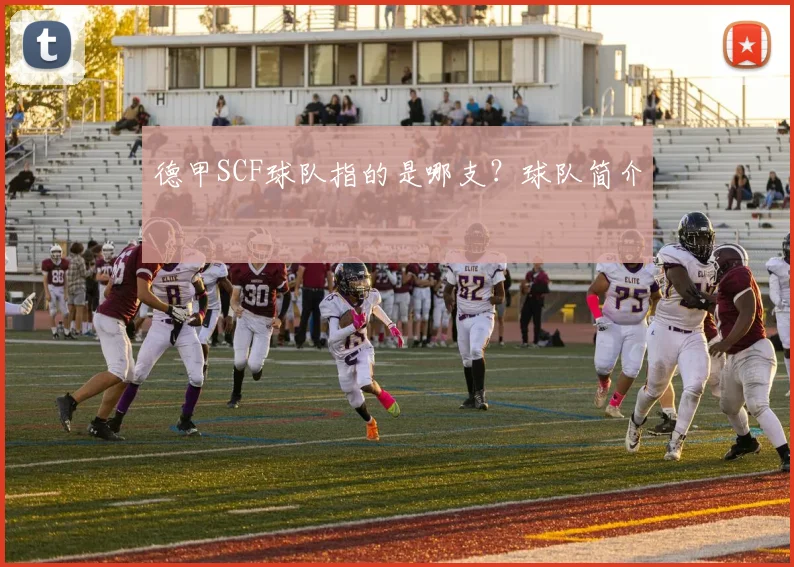 德甲SCF球队指的是哪支？球队简介