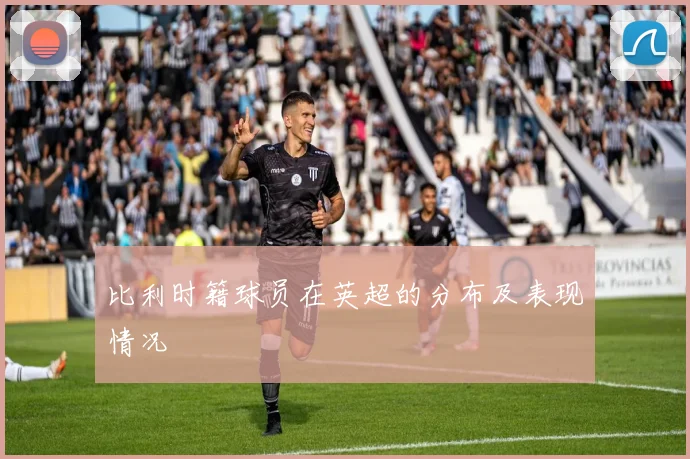 比利时籍球员在英超的分布及表现情况