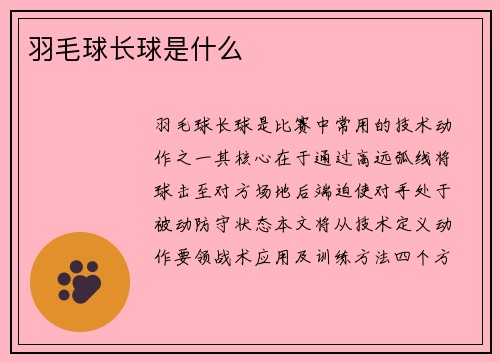 羽毛球长球是什么