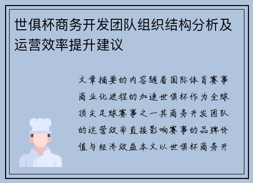 世俱杯商务开发团队组织结构分析及运营效率提升建议